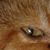 Stacey Stanford's profile image