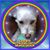 Marina Mendez's profile image