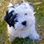 Garnetta Sullivan's profile image