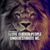 Muneeb Javed's profile image
