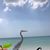 Cammie Sypult Baker's profile image