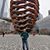 Ismael Alvarez's profile image