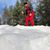 Jef Brousseau's profile image