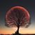 Rhonda Carson-Hayes's profile image