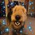 Kitty Depta's profile image