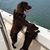 Jane Cline Britt's profile image