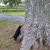 Sherman Surrett's profile image