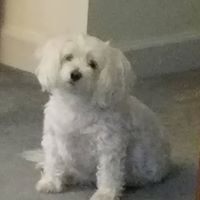 JoAnn Snow's profile image