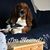 Sue Demers's profile image