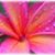 Brenda Remiticado's profile image