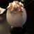 Julia McCauley Antoniuk's profile image