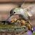 Frank Wilson's profile image
