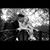 Christina Mottie Dubay's profile image