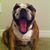 Steven Laman's profile image