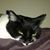 Laura Atchison Kasten's profile image