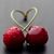 Carol Hoy Probst's profile image