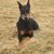 Dorothy R Simons's profile image