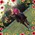 Millie Whitlock Batson's profile image