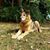 Tammy Strayer's profile image