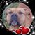 Heather Sneed's profile image