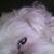 Cheryl Cessna's profile image