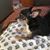 Elizabeth Ann Wallace's profile image