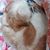 Rob-Deb Fillioe's profile image