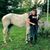 Sarah Taylor's profile image