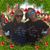 Andrea Dean Stover's profile image