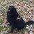 Scott Zuhr's profile image