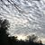 Gail Doering's profile image