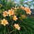 Marlene Piper Plichta's profile image
