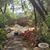 Karol Shoup Johnson's profile image