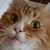 Michelle White Smith's profile image