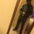Tunde Deane's profile image
