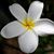 Laura Carlson's profile image