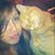 Kadi Donovan's profile image