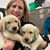 Michelle Bonfilio's profile image