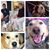 Arlene Rainville Hess's profile image