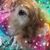 Rick Meyers's profile image