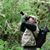 Mark Steven Mangus's profile image