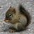 Emily Sordinas Watts's profile image