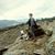 Desiree Takacs's profile image