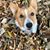 Mary Ann Van Curen's profile image