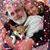 Lisa Borden Zygelman's profile image