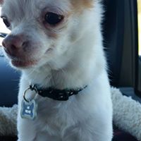 Becky Jandebeur's profile image