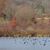Sue Hausamann Henshaw's profile image