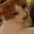 Kandyce Sanders Richardson's profile image