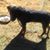 Floyd Jones's profile image