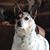 Susan Joe Brown Casey's profile image